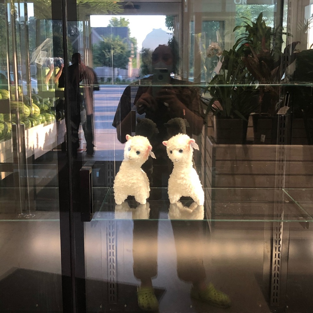 Meet your Posher, Soraya